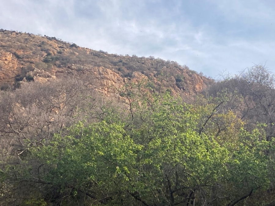 4 Bedroom Property for Sale in Rietvly A H North West